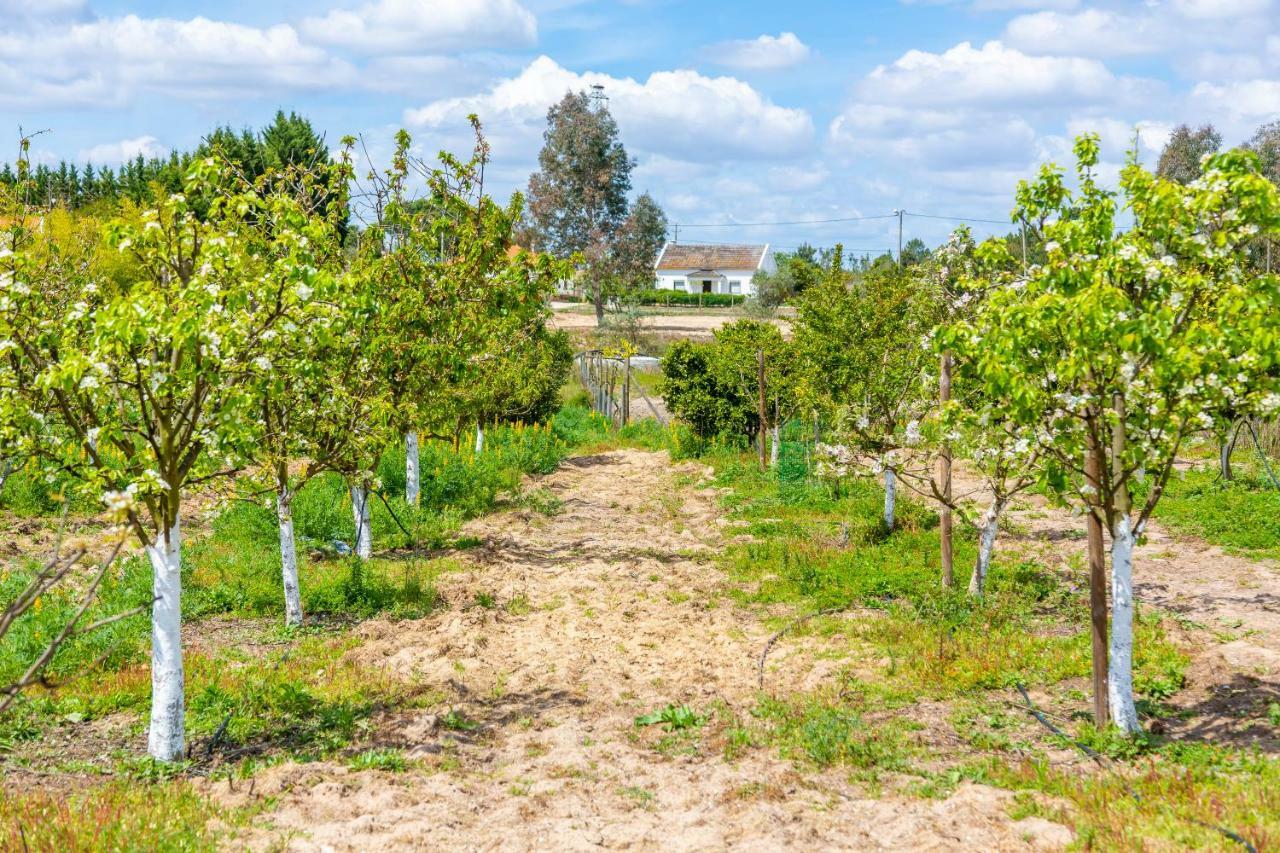 Chitaka'S Organic Farmhouse In Ribatejo Santo Estevao  Exteriér fotografie